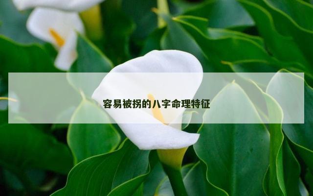 容易被拐的八字命理特征