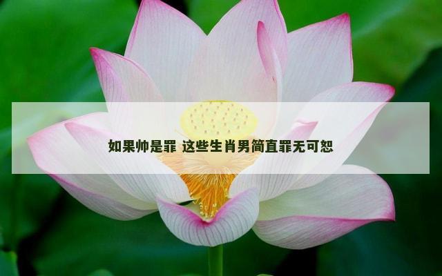 如果帅是罪 这些生肖男简直罪无可恕