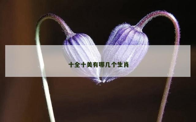 十全十美有哪几个生肖