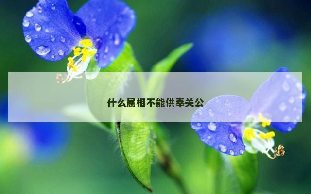 什么属相不能供奉关公