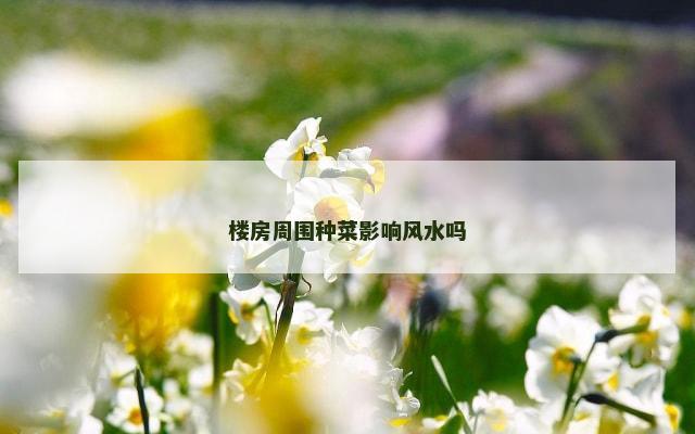 楼房周围种菜影响风水吗