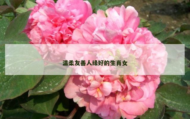 温柔友善人缘好的生肖女