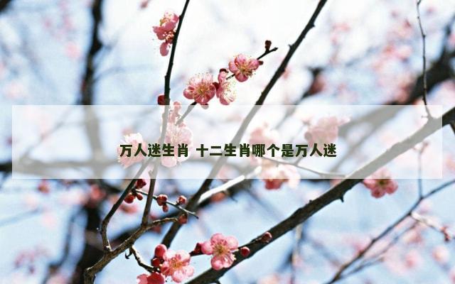 万人迷生肖 十二生肖哪个是万人迷