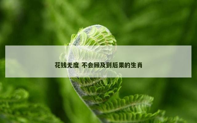 花钱无度 不会顾及到后果的生肖