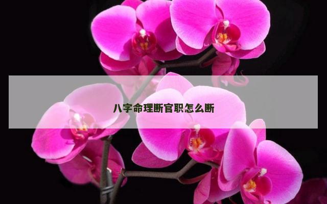 八字命理断官职怎么断