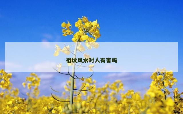 祖坟风水对人有害吗
