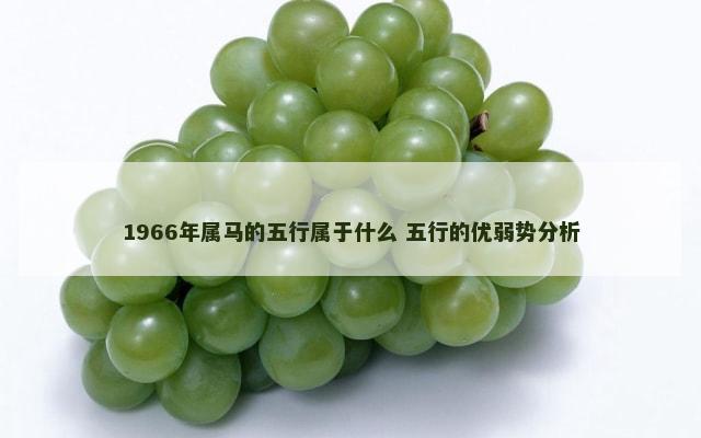 1966年属马的五行属于什么 五行的优弱势分析