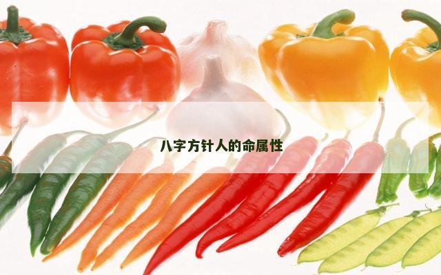 八字方针人的命属性