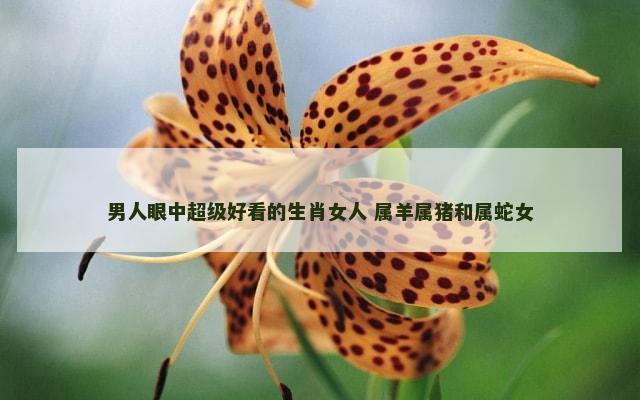 男人眼中超级好看的生肖女人 属羊属猪和属蛇女