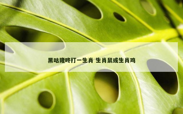 黑咕隆咚打一生肖 生肖鼠或生肖鸡