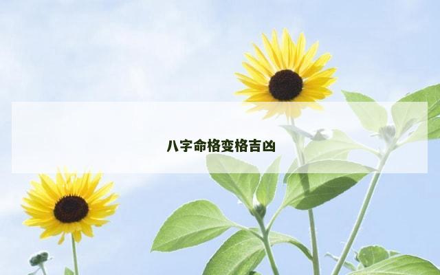 八字命格变格吉凶
