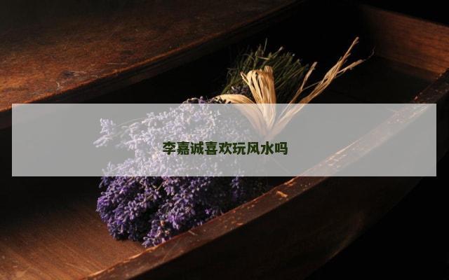 李嘉诚喜欢玩风水吗