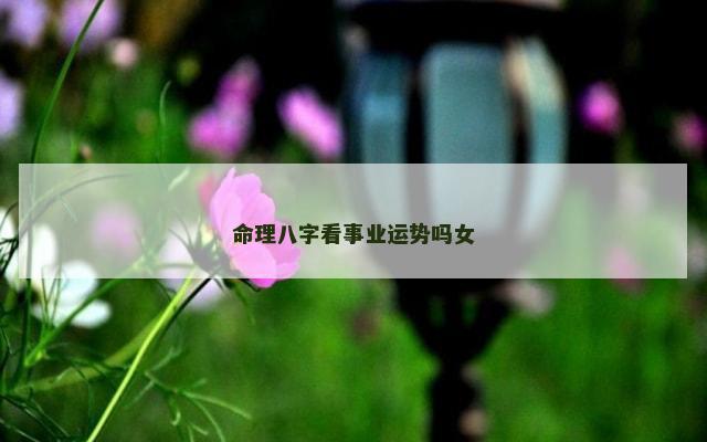 命理八字看事业运势吗女