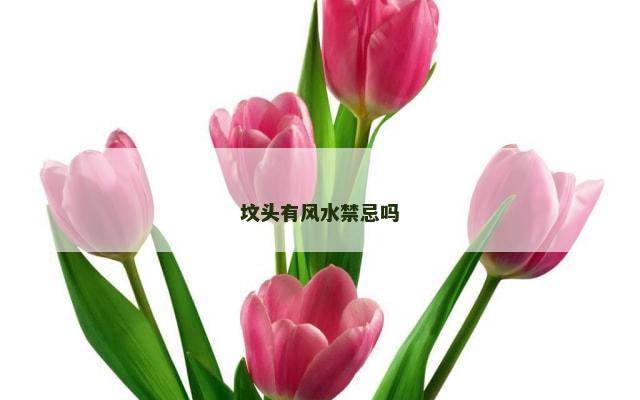 坟头有风水禁忌吗
