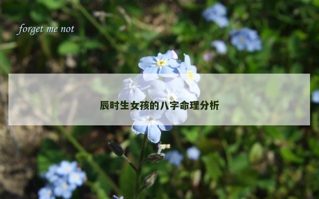 辰时生女孩的八字命理分析