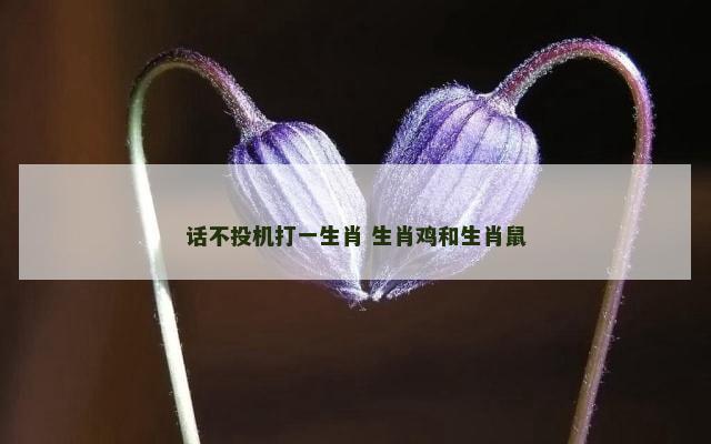 话不投机打一生肖 生肖鸡和生肖鼠