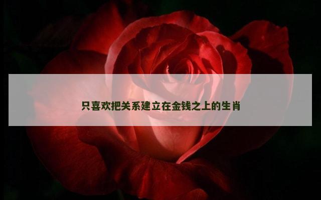只喜欢把关系建立在金钱之上的生肖