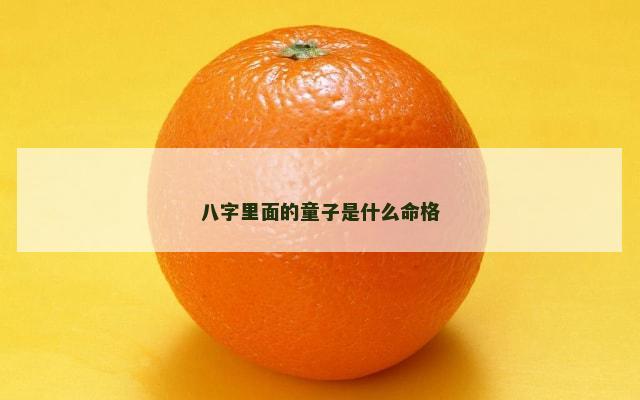 八字里面的童子是什么命格