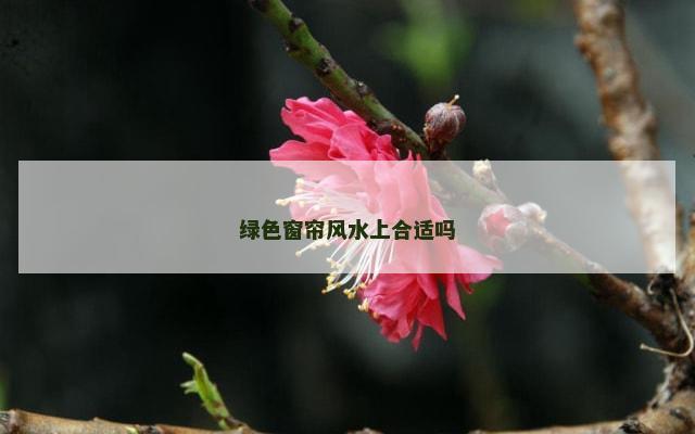 绿色窗帘风水上合适吗