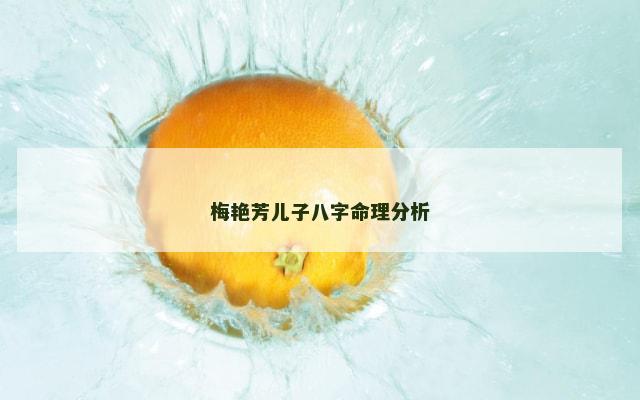 梅艳芳儿子八字命理分析