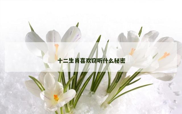 十二生肖喜欢窃听什么秘密