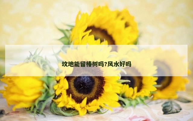 坟地能留椿树吗?风水好吗