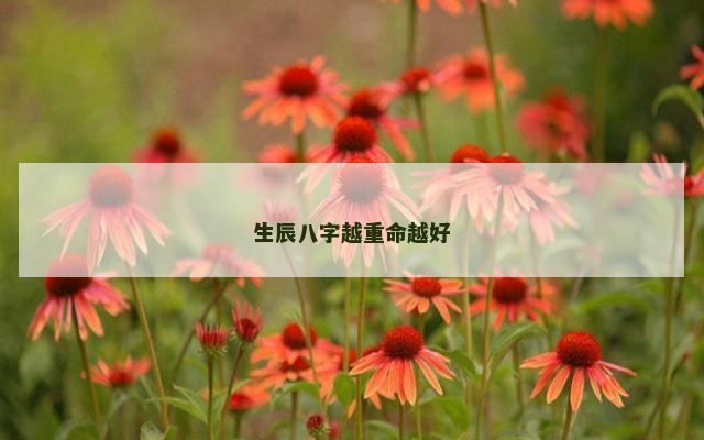 生辰八字越重命越好