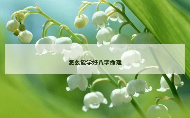 怎么能学好八字命理