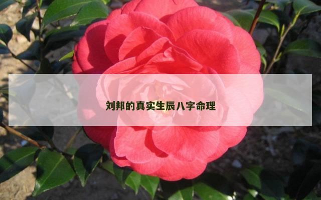 刘邦的真实生辰八字命理