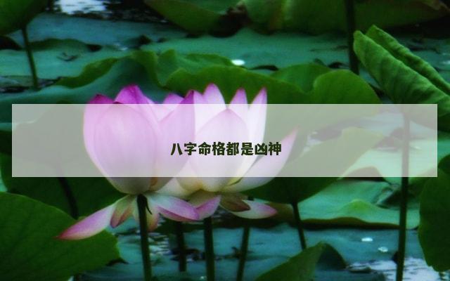 八字命格都是凶神