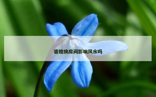 婆媳换房间影响风水吗
