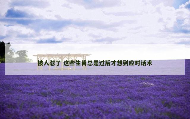 被人怼了 这些生肖总是过后才想到应对话术