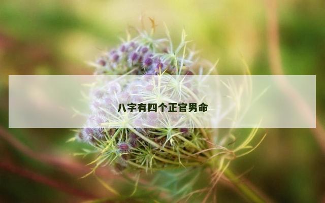 八字有四个正官男命
