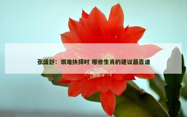 张盛舒：艰难抉择时 哪些生肖的建议最靠谱