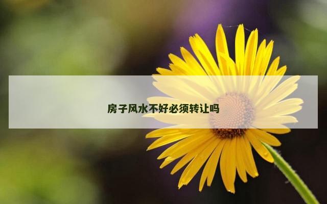 房子风水不好必须转让吗