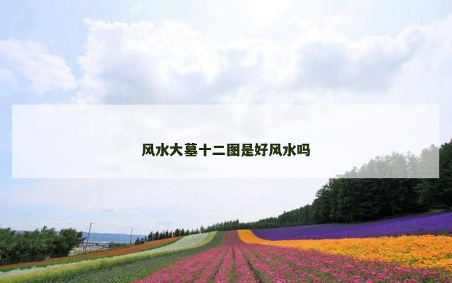 风水大墓十二图是好风水吗