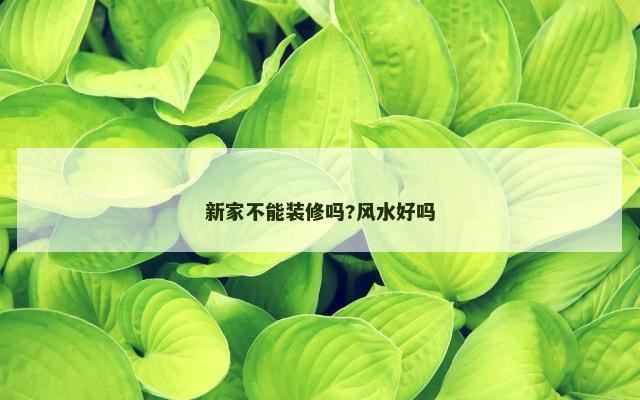 新家不能装修吗?风水好吗