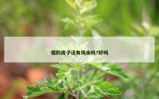 租的房子还有风水吗?好吗