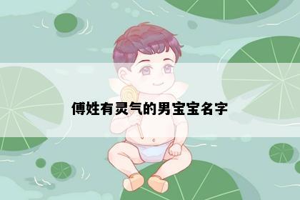 傅姓有灵气的男宝宝名字