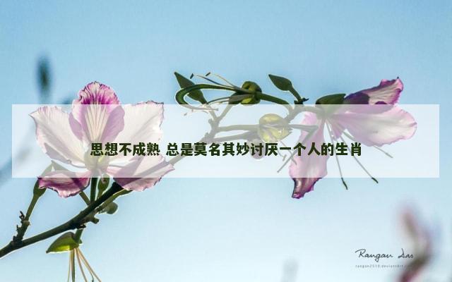 思想不成熟 总是莫名其妙讨厌一个人的生肖