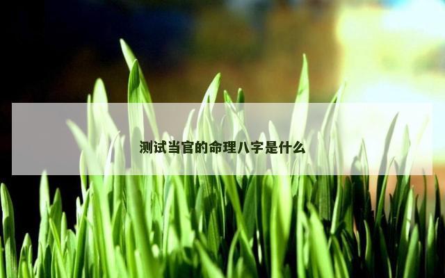 测试当官的命理八字是什么