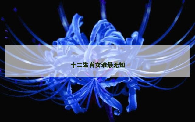 十二生肖女谁最无知