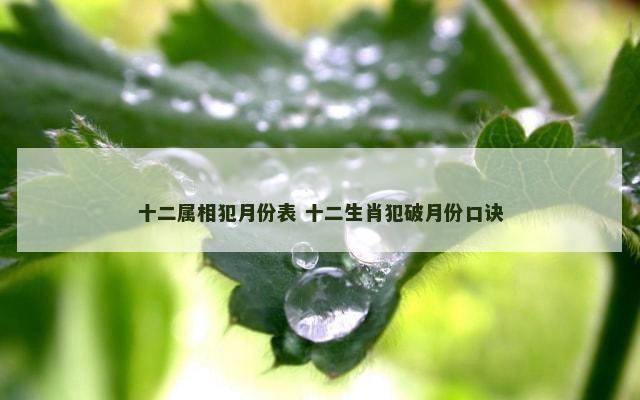 十二属相犯月份表 十二生肖犯破月份口诀