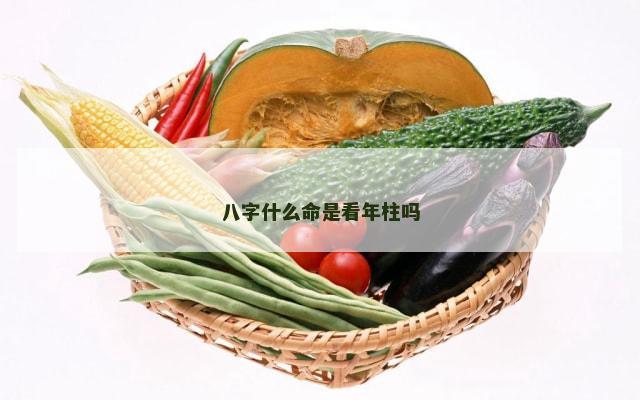 八字什么命是看年柱吗