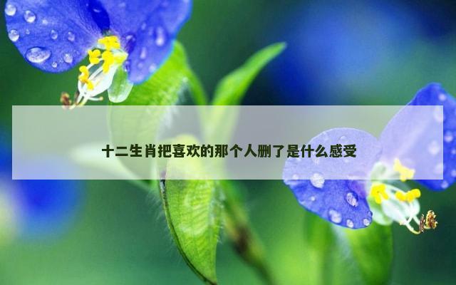 十二生肖把喜欢的那个人删了是什么感受
