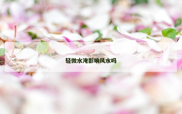 轻微水淹影响风水吗