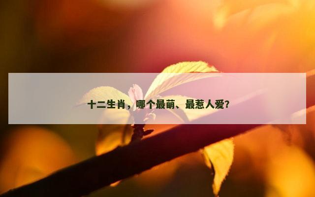 十二生肖，哪个最萌、最惹人爱？