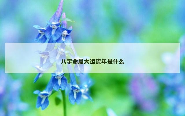 八字命局大运流年是什么
