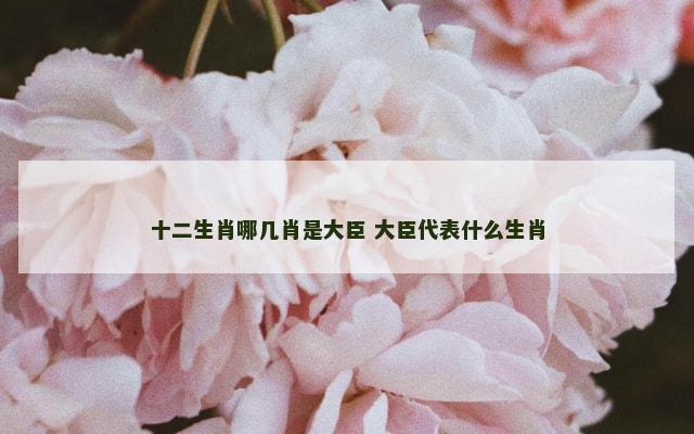 十二生肖哪几肖是大臣 大臣代表什么生肖