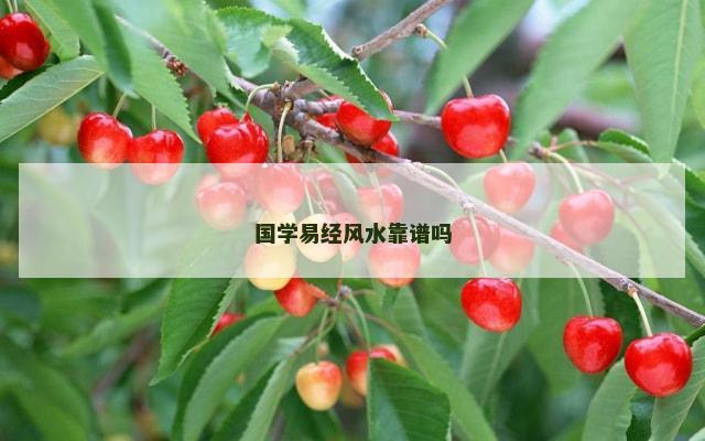 国学易经风水靠谱吗
